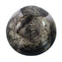 Native American Navajo Horse Hair Pottery JX130446
